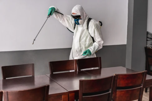 Effective pest control solutions for a cleaner, healthier space
